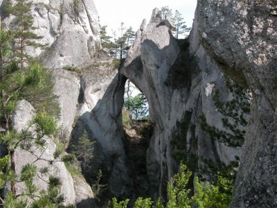 neu-per-25-07-033042.jpg