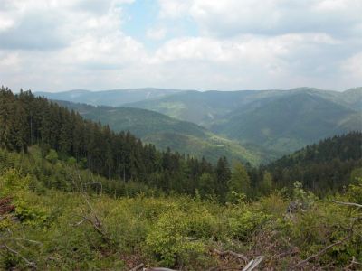 neu-per-25-07-033275.jpg