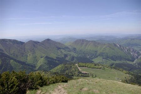 igp1529.jpg