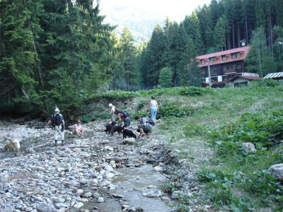 bild-010.jpg