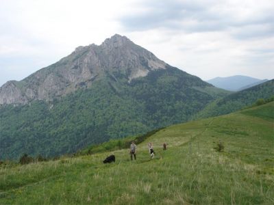 bild-149.jpg