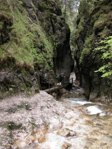 dscn1606.jpg