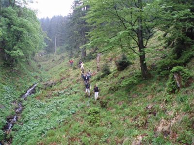 070301-010.jpg