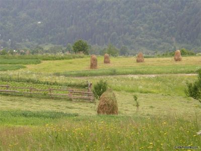 080505-033.jpg