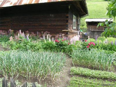 080505-038.jpg