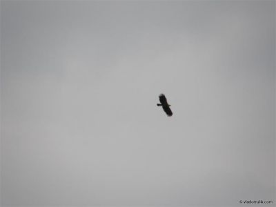 080505-041.jpg