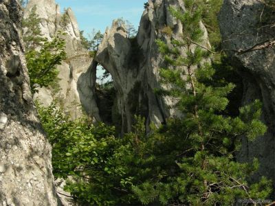 080510-033.jpg