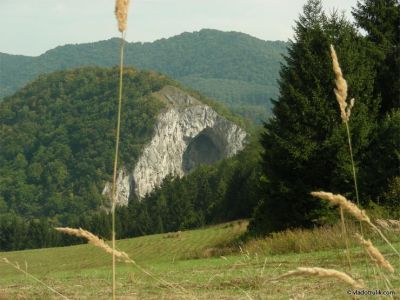 080510-039.jpg