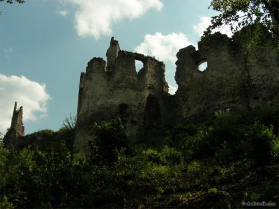 080510-040.jpg
