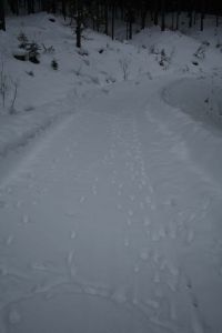 img-7831.jpg