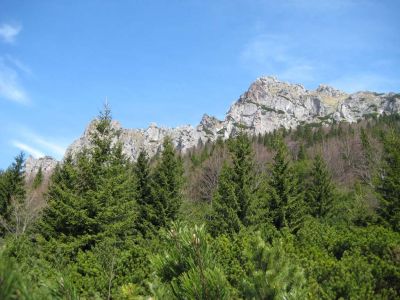 img-0586.jpg