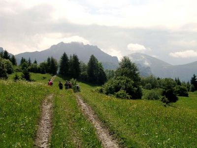 dscn0050.jpg