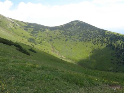 p6180115.jpg