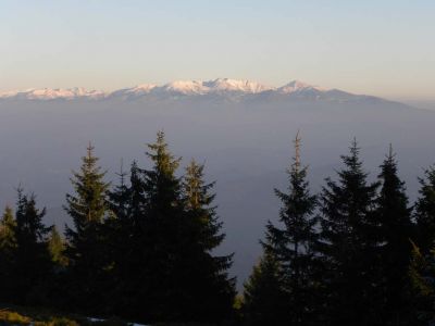 dscn2561.jpg