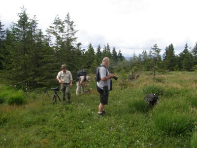 4.7. - 11.7.2009 Naturreise für Fotografen