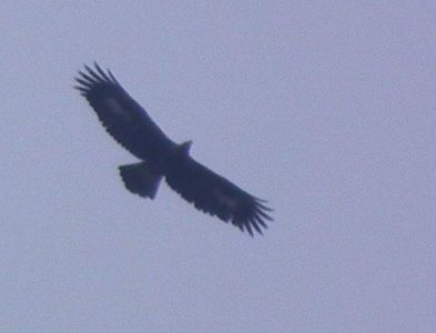dscf3040.jpg
