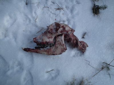 dscf3047.jpg