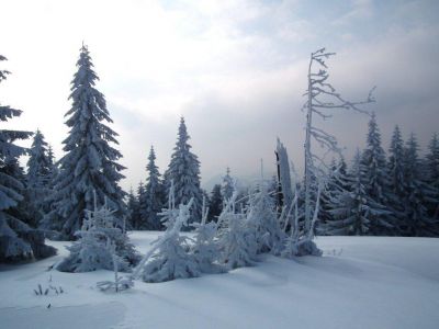 dscf3099.jpg