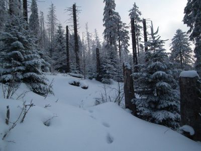 dscf3112.jpg