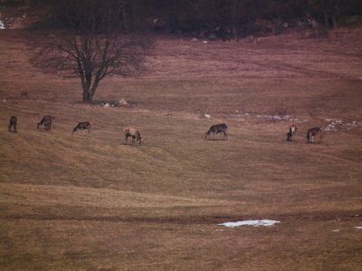 dscf3120.jpg