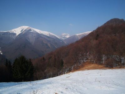dscf3127.jpg