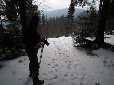 dscf3135.jpg