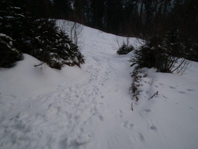 dscf3136.jpg