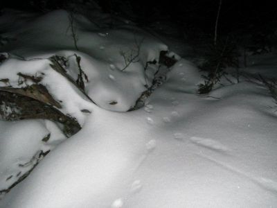 dscf3156.jpg