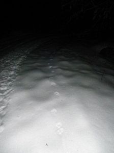 dscf3158.jpg
