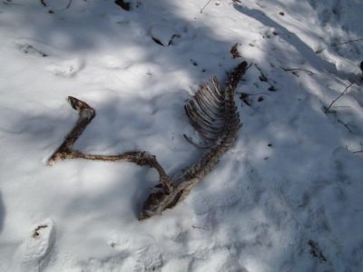 dscf3164.jpg