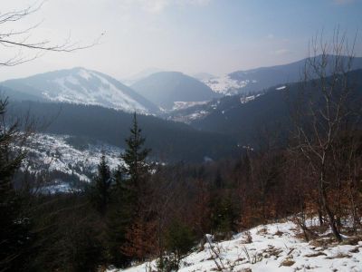 dscf3167.jpg