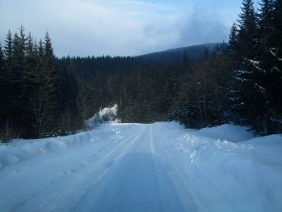 dscf3170.jpg