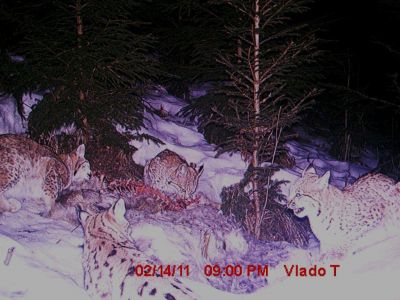 mdgc0695.jpg