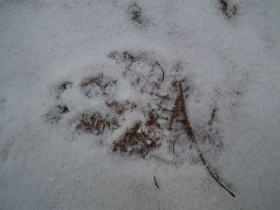 dscf3392.jpg