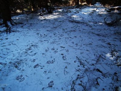 dscf3393.jpg