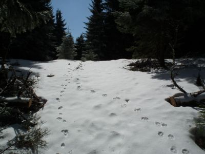 dscf3399.jpg