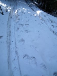dscf3407.jpg