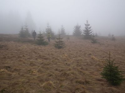dscf3562.jpg