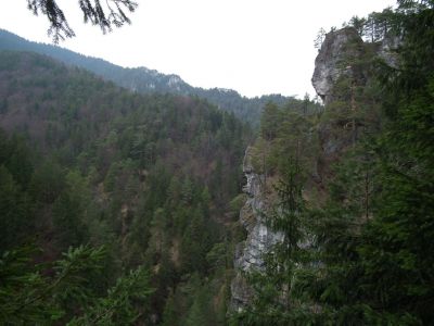 dscf3595.jpg