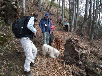 dscf3791.jpg