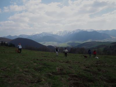 dscf3799.jpg