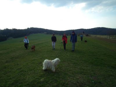 dscf3824.jpg