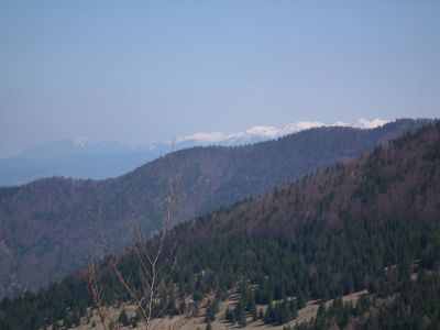 dscf3899.jpg