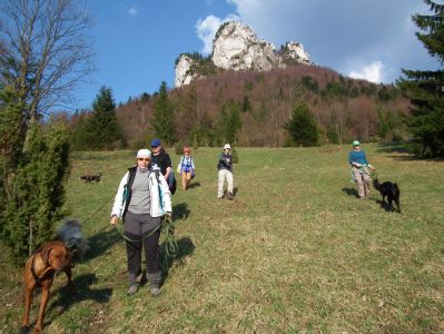 dscf3913.jpg