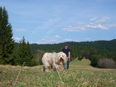 dscf3943.jpg