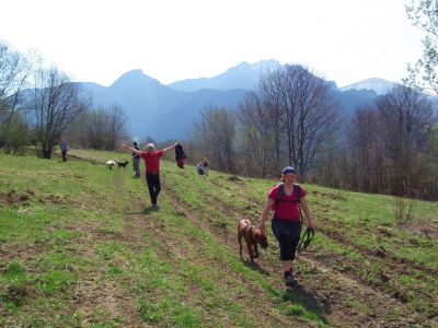 dscf3974.jpg