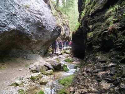 dscf6297.jpg