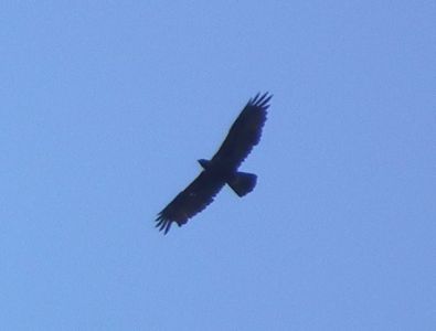 dscf6319.jpg