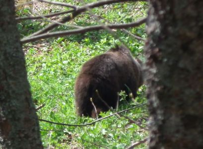 dscf6340.jpg