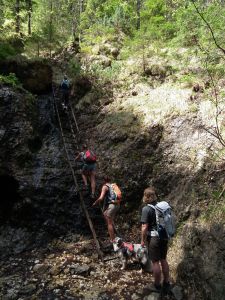 dscf6396.jpg